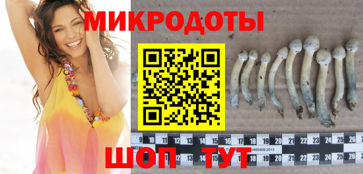 Псилоцибиновые грибы Cubensis Калуга